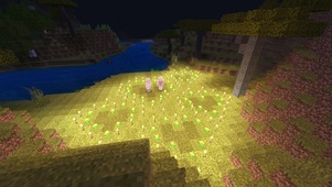 我的世界情侣爱心花海