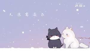 猫猫间的关爱