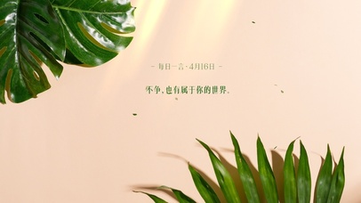 4k简约绿植ins风格系列