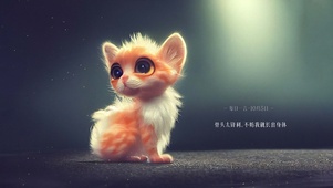小橘猫