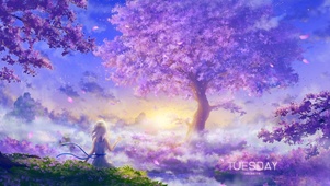 梦幻樱花树下