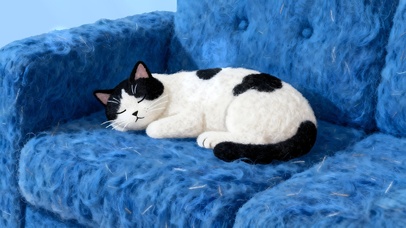 治愈毛毡~呼噜大睡的喵喵~