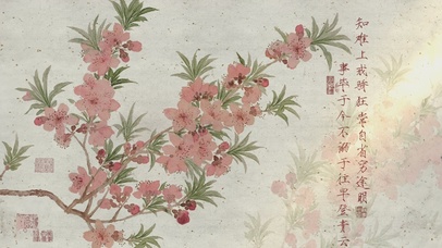 小清新佛系壁纸