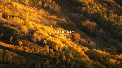 4K清晨枫林山景