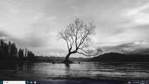 枯藤老树—【主题桌面】