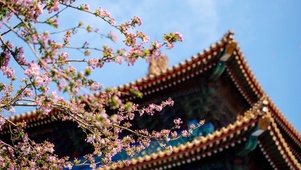 小碎花