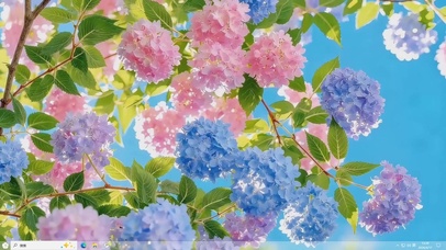 治愈养眼的鲜花