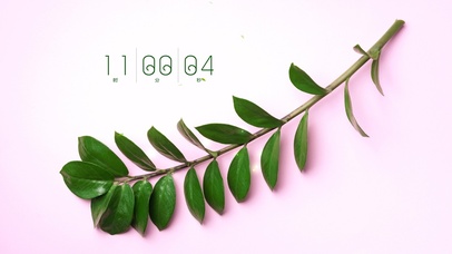 简约系绿植壁纸