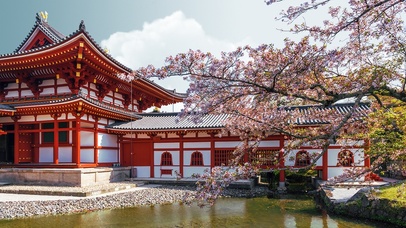 4K唯美治愈樱花古建筑风景