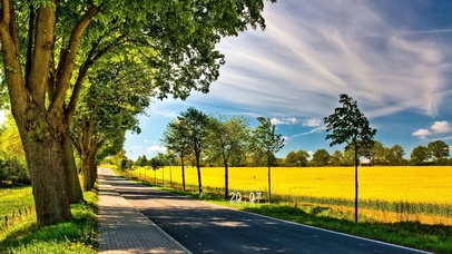 4K 高清田间小路