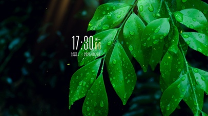 简约系4k清新绿植壁纸