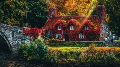 唯美治愈花园房屋