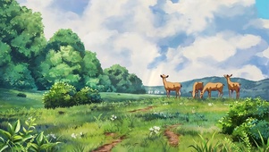 治愈森林 风景