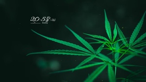 4k治愈护眼桌面
