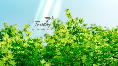 4k简约清新系列