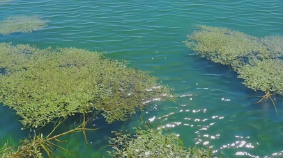 清澈湖面