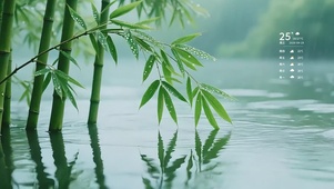 下雨湖面竹子