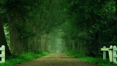 4k 治愈护眼雨天山林小路