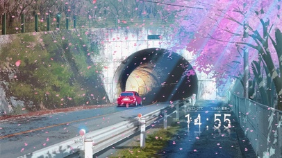 穿过樱花的风景驾车