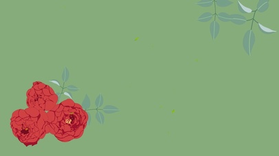 4k高清简约护眼系列