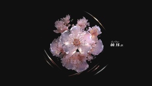水晶樱花