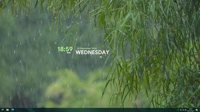 雨中杨柳