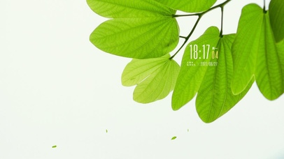 4k高清简约护眼系列