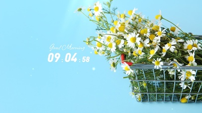 简约小清新4k电脑壁纸