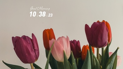 清新郁金香桌面