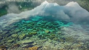 清新护眼风景
