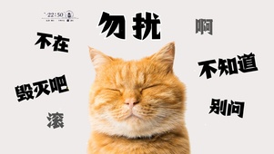 猫咪打工人桌面
