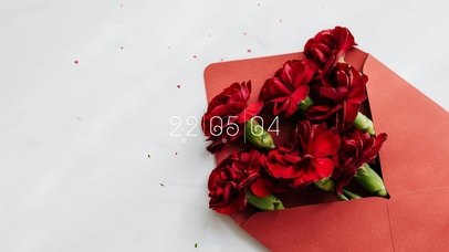 4k简约清新桌面