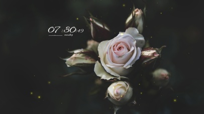 4k高清冷美花系列