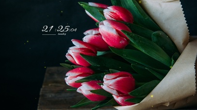 小清新4k郁金香壁纸