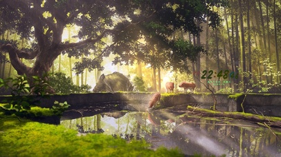 治愈清新阳光森林的野猪