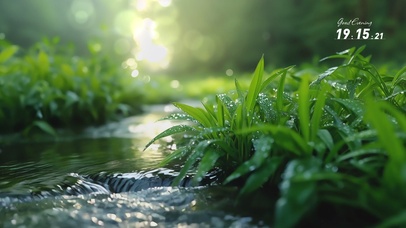 森林清晨交响曲