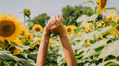 “阳光 向日葵 快乐”