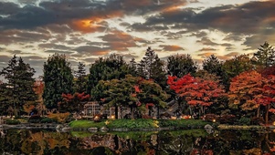 4K自然公园湖景