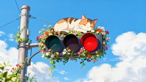 红绿灯上趴着的猫咪