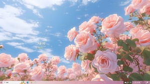 蓝天下的玫瑰花