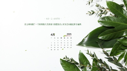 简约系绿植壁纸