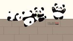 简约小熊猫