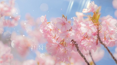 唯美治愈粉嫩樱花