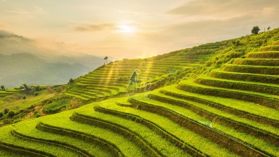 梯田 老家 乡村 稻田 绿色绿色壁纸图片_动态桌面壁纸图片_动态壁纸