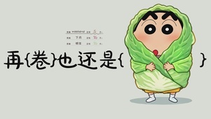 再卷也还是菜