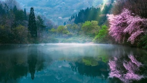 湖