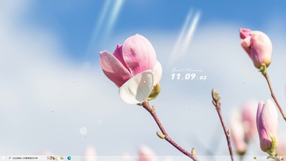 唯美治愈蓝天下盛开的木兰花