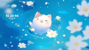 呆萌流水泳池猫