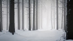 暴风雪