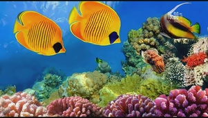 海底世界